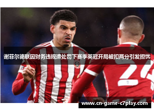 谢菲尔德联因财务违规遭处罚下赛季英冠开局被扣两分引发担忧